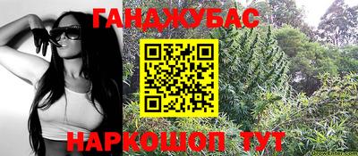 индика Дубна