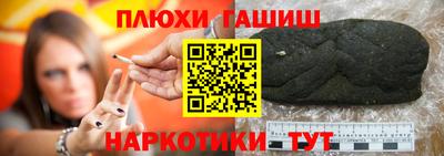 индика Дубна
