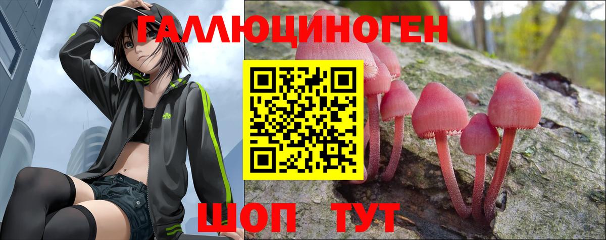 Псилоцибиновые грибы мухоморы Канск