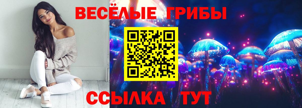 Галлюциногенные грибы мухоморы  Псилоцибиновые грибы Psilocybe  Вход с VPN  Канск 
